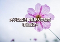 大中型客貨車駕駛?cè)藢忩炗心男┮?guī)定？