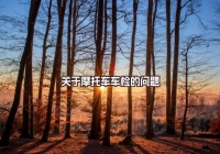關(guān)于摩托車車檢的問題
