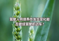 駕駛?cè)松眢w條件發(fā)生變化能否繼續(xù)駕駛機動車？